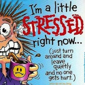 Meet your Posher, Monique